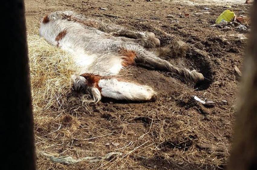 They Were Walking Past When Something Made Them Stop Cold