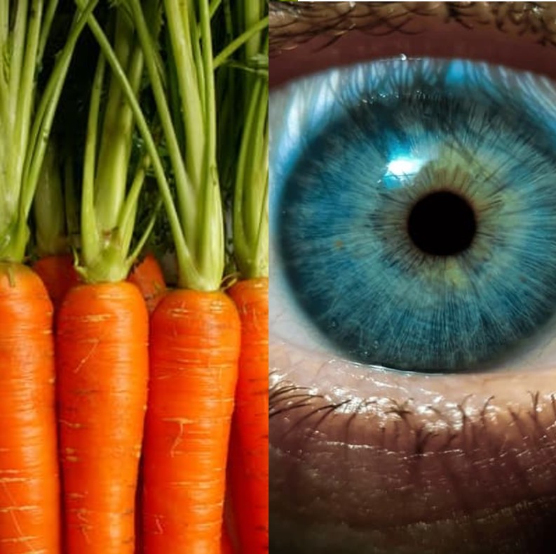 Nature’s Body Health Secrets: 7 Foods That Mirror the Body Parts they Maintain