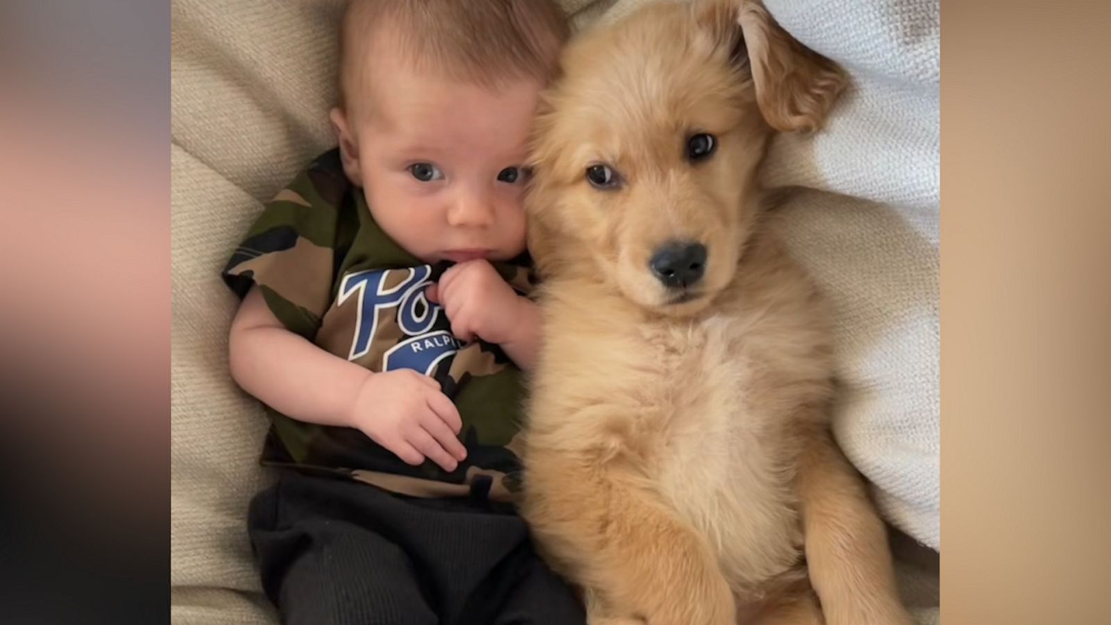 Doctors Had No Answers—But This Dog Did