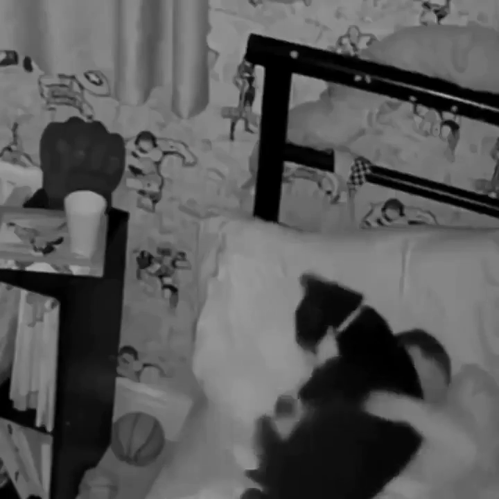 The owner couldn’t understand why his cat wasn’t sleeping on her bed. Then he saw on his camera what was really happening.